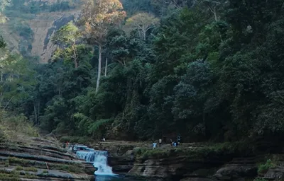 পদ্ম ঝিরির শান্ত সৌন্দর্য