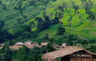 ২য় রাত ও ২য় দিন
