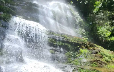 ২য় দিন