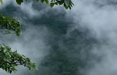 ৩য় দিন