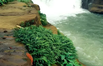 ১ম রাত-১ম দিন